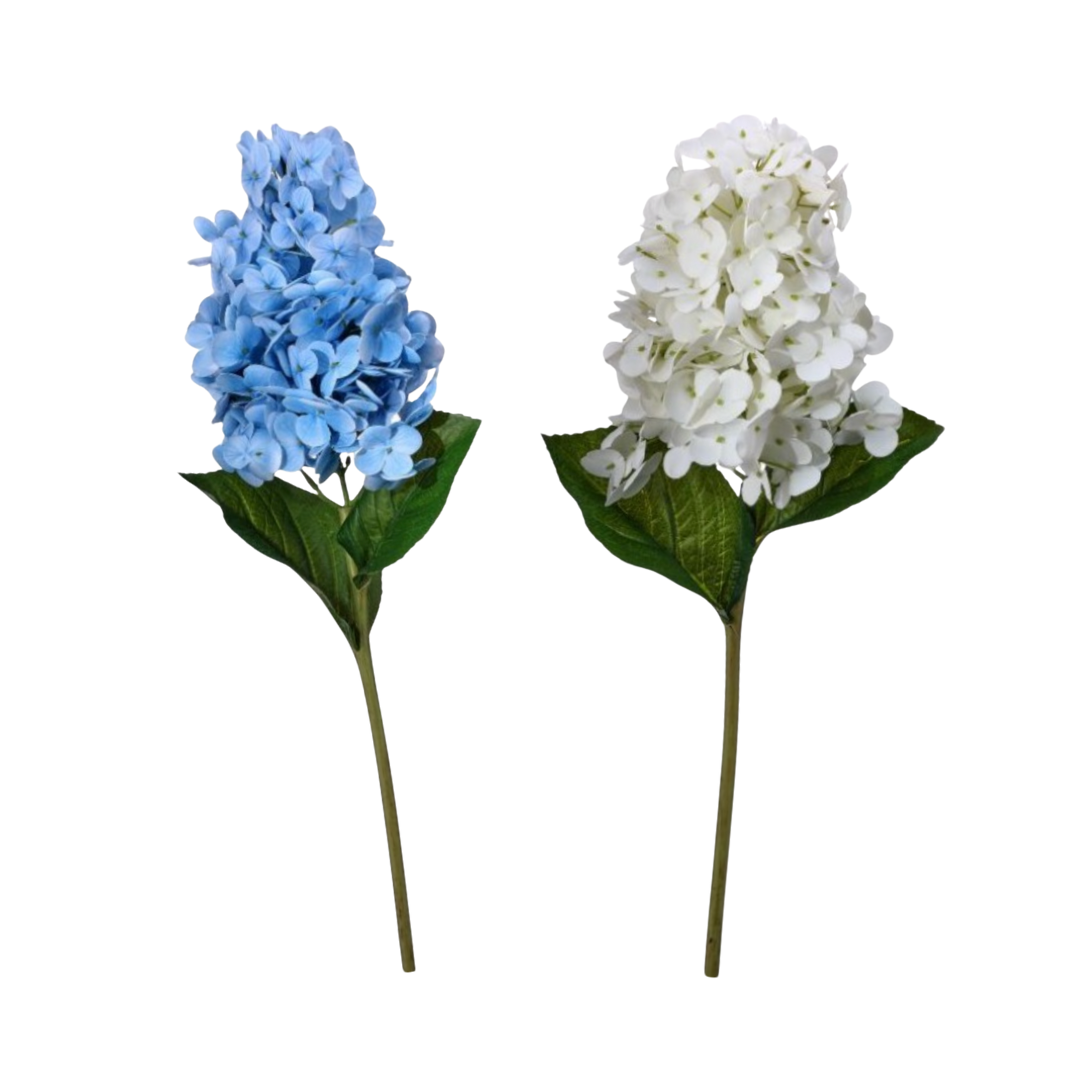 Soft Touch Garden Cone Hydrangea