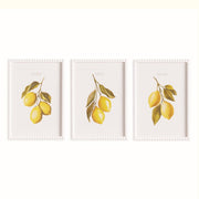 Fresh Lemon Wall Decor