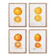 Springtime Orange Wall Decor