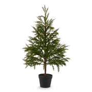 36" Potted Cedar Tree
