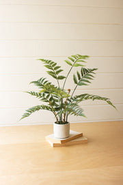 Faux Potted Fern