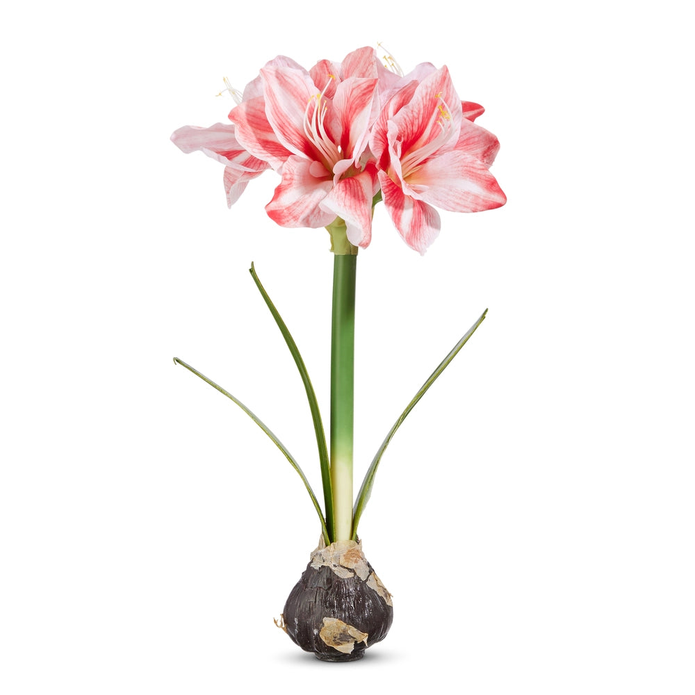 19" Real Touch Pink Amaryllis Bulb
