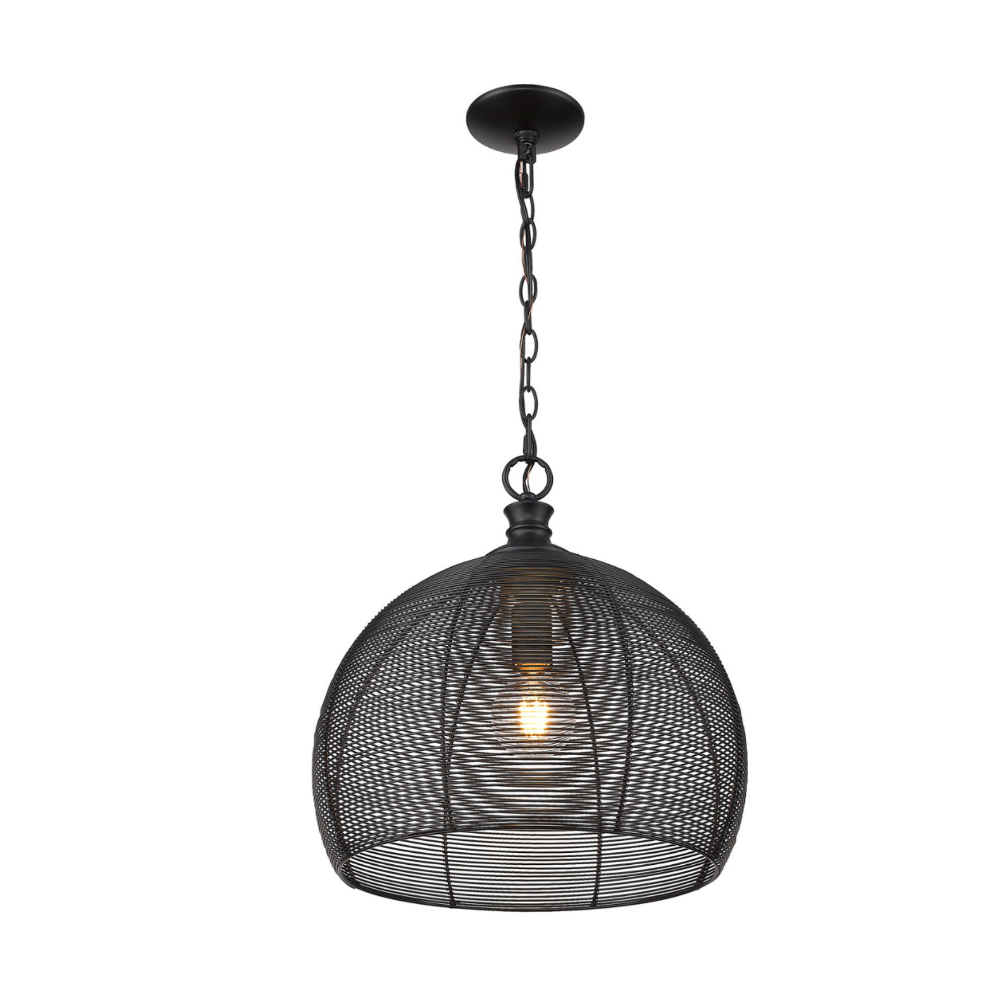 Hayven 1 Light Pendant