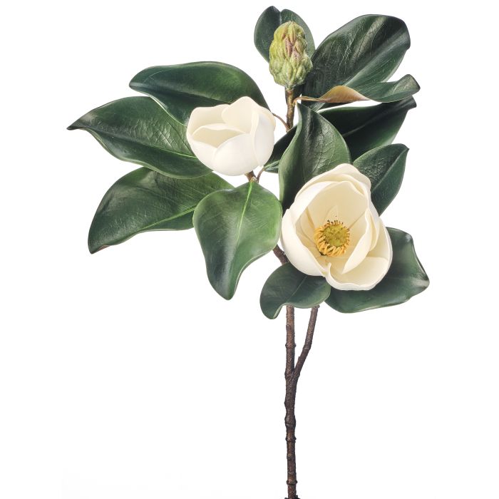 White Veranda Magnolia