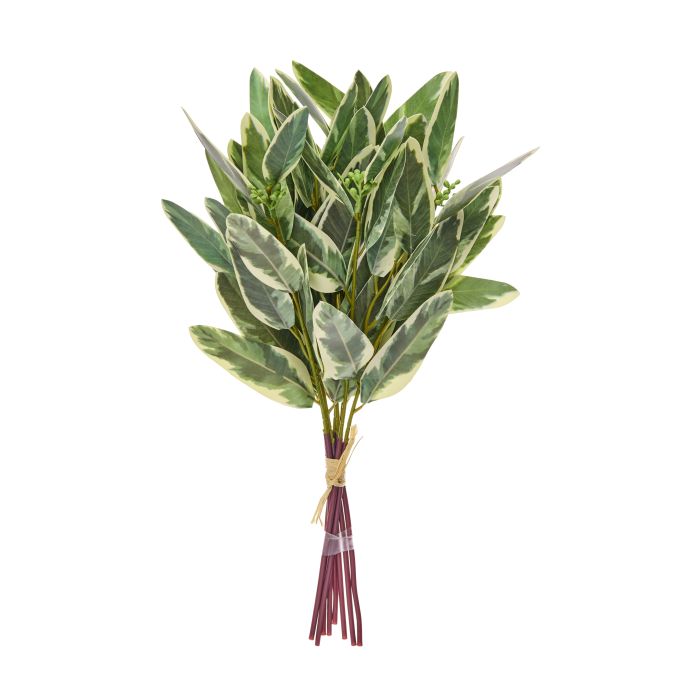 Eucalyptus Bundle