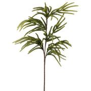 36" Norfolk Pine Spray