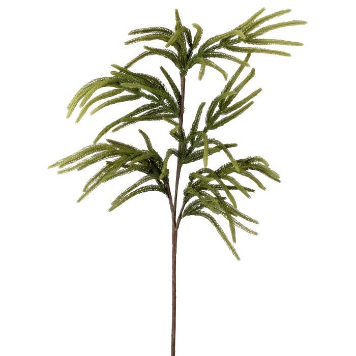 36" Norfolk Pine Spray