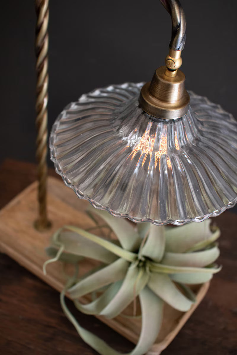 Ellie Desk Lamp