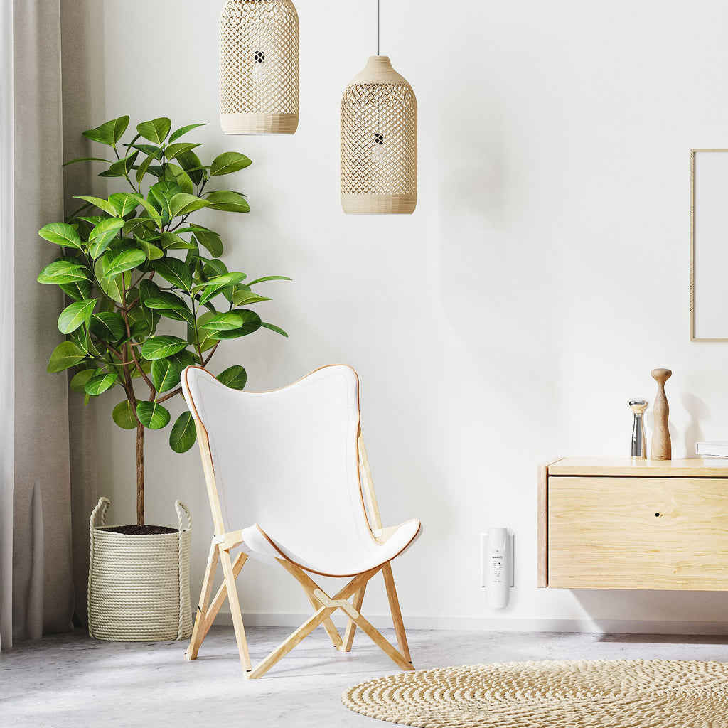 Aroma Diffuser Bundle