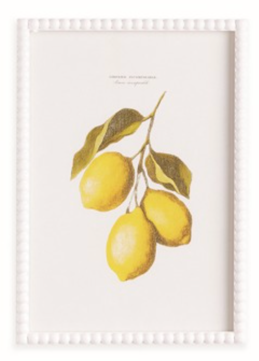 Fresh Lemon Wall Decor