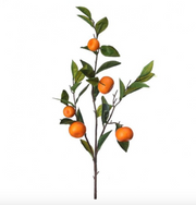 Orchard Orange Spray