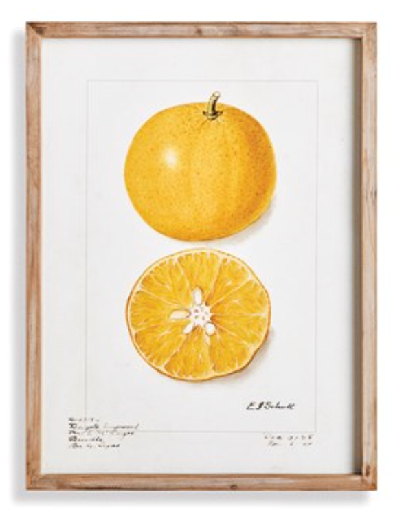 Springtime Orange Wall Decor