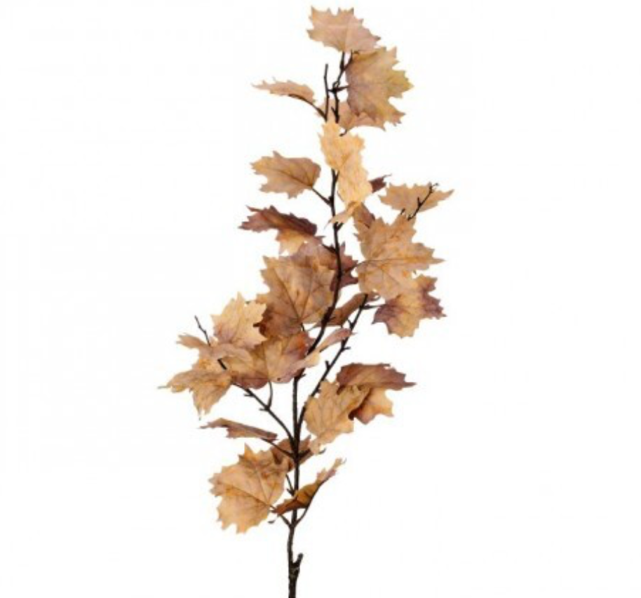 Cream & Brown Vermont Maple Spray