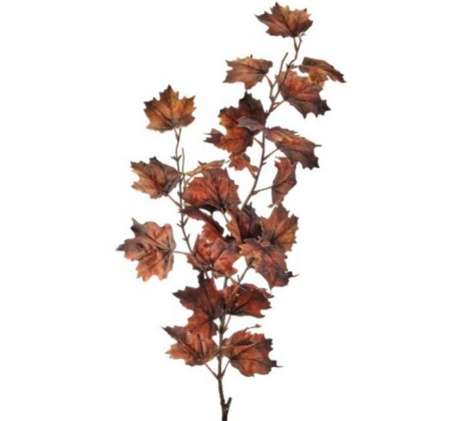 Nutmeg Vermont Maple Spray