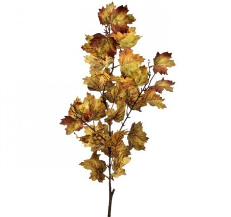 Brown & Green Vermont Maple Spray