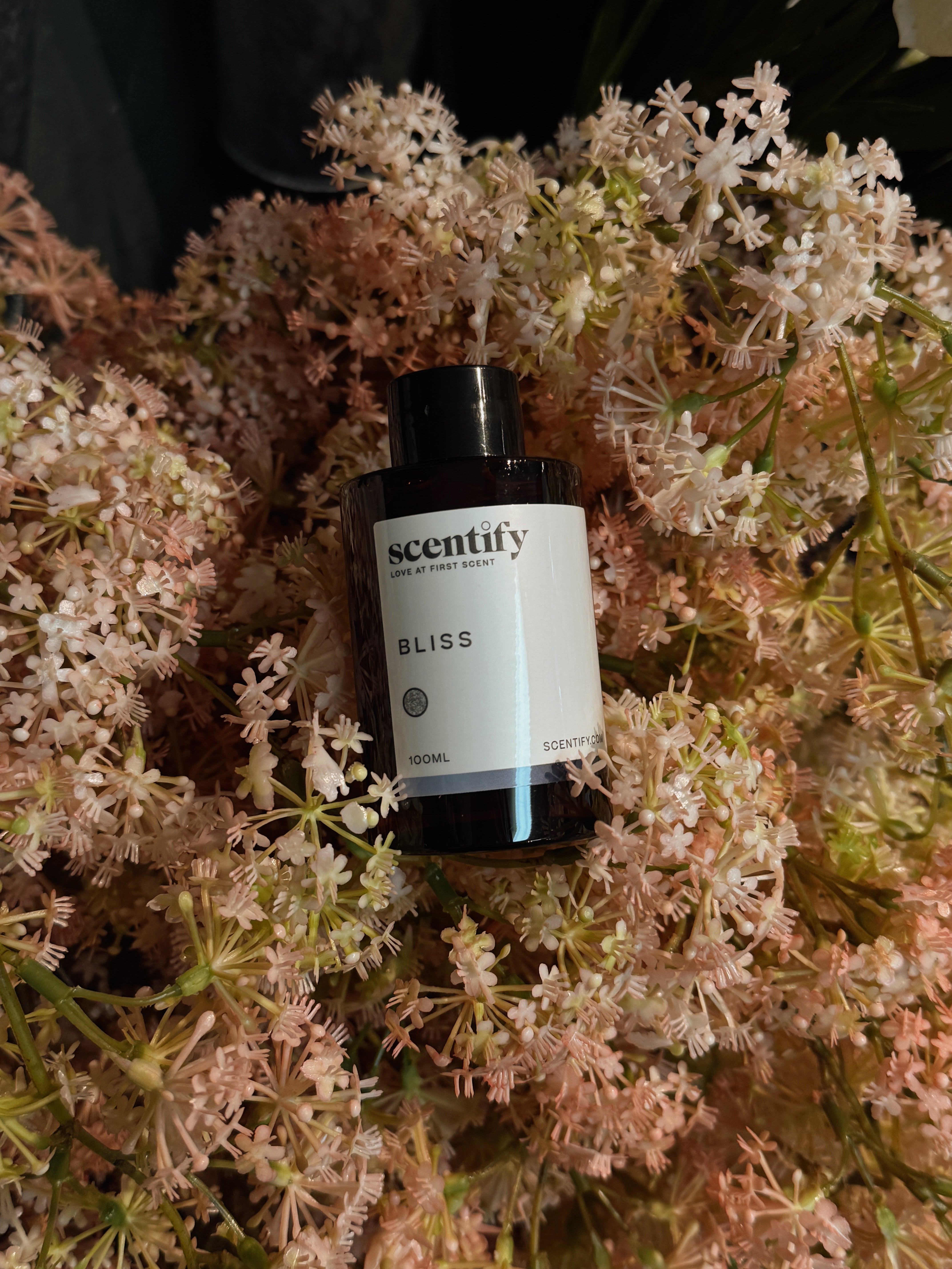 Sunnylane Home Interiors