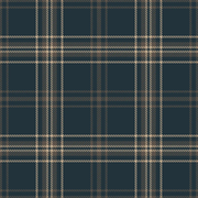 Plaid Navy