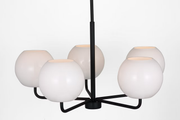 Rory Five Light Chandelier
