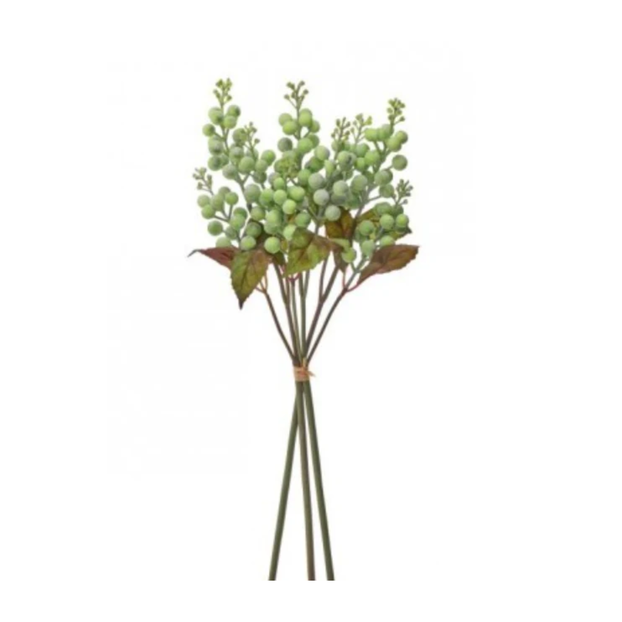 Green Wild Berry Bundle