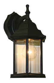 Waters 1 Light Black Outdoor Lantern